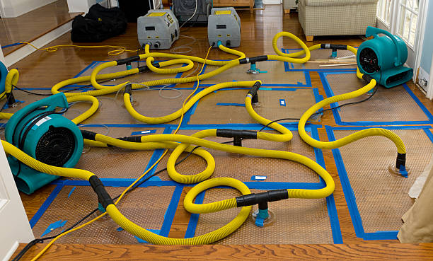 Professional Sewage Cleanup technician working in Coram, NY